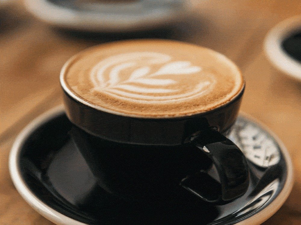 Ninja Luxe Cafe hands-free frothing
